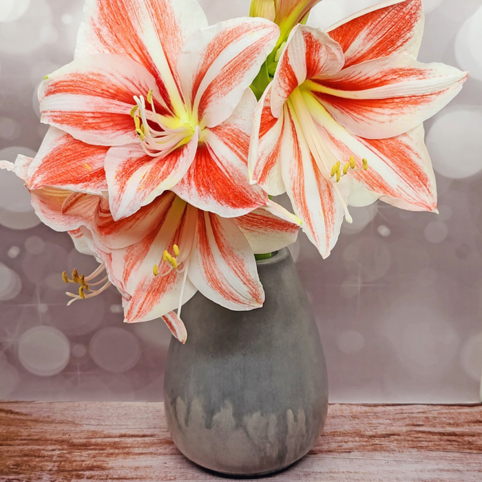 große bauchige Vase aus Beton